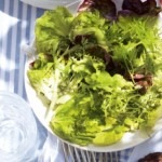 Salata de gradina