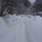 Cine mai poate scoate Romania de sub nameti?