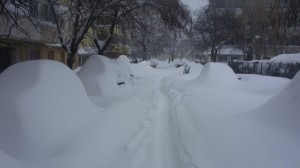 Cine mai poate scoate Romania de sub nameti?