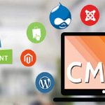Siguranta – un aspect important al CMS-urilor