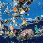 De ce este indicat sa renuntam la plasticul traditional?