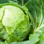 5 Beneficii impresionante pentru sănătate provenite de la varză